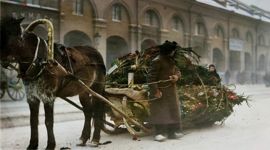 Тула накануне войн и революций
