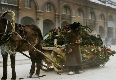 Тула накануне войн и революций