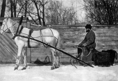 Извозчик грабитель.